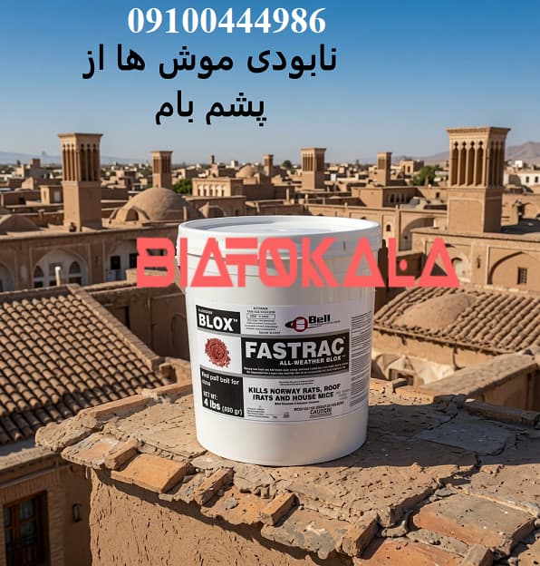 فروش بهترین سم موش قوی و خارجی